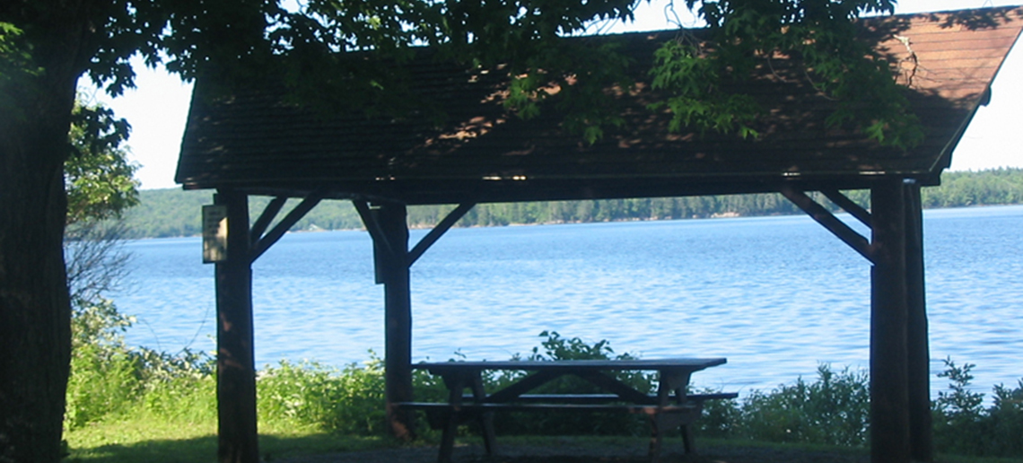 Picnic on the Shore